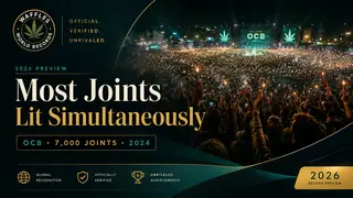 Editorial illustration for Most Joints Lit Simultaneously